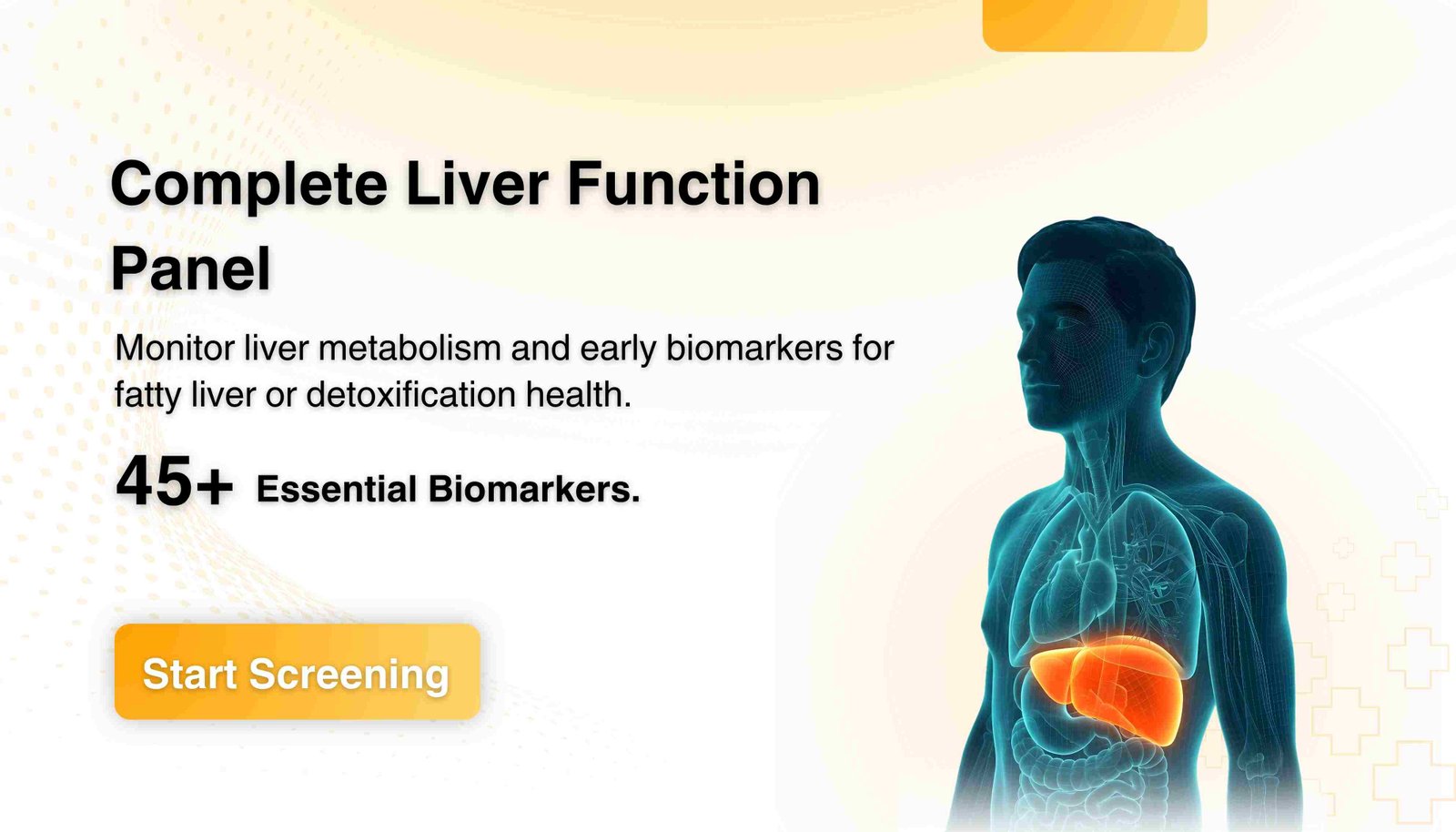 Complete Liver Function Panel